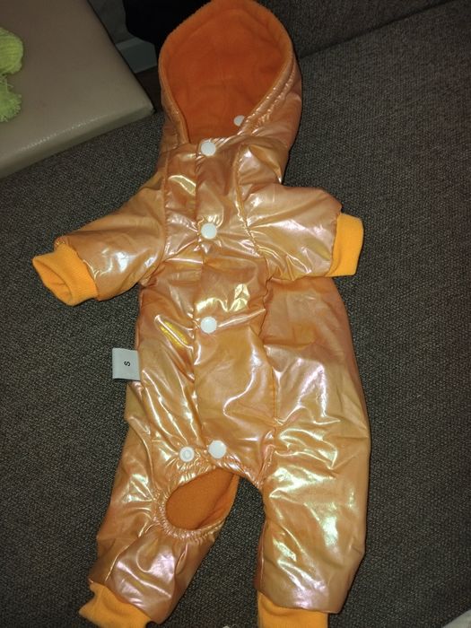 Одежда для маленькой собачки