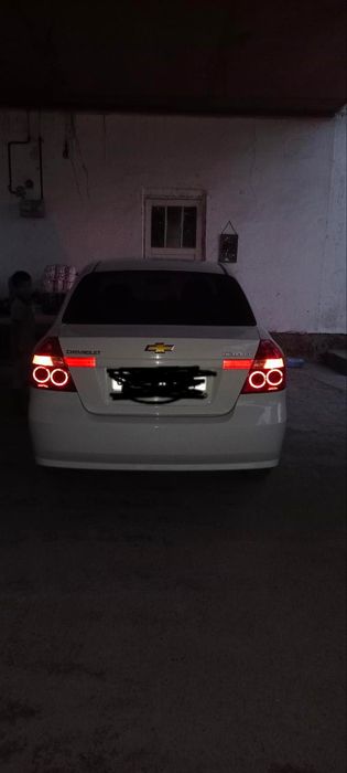 Moshina xolati alo