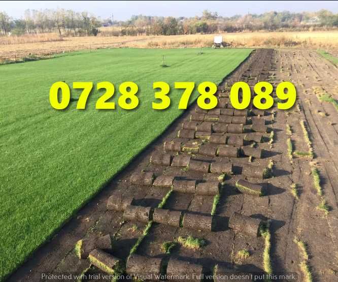 Gazon rulou Sistem de Irigare Oriunde in tara Calitate Extra