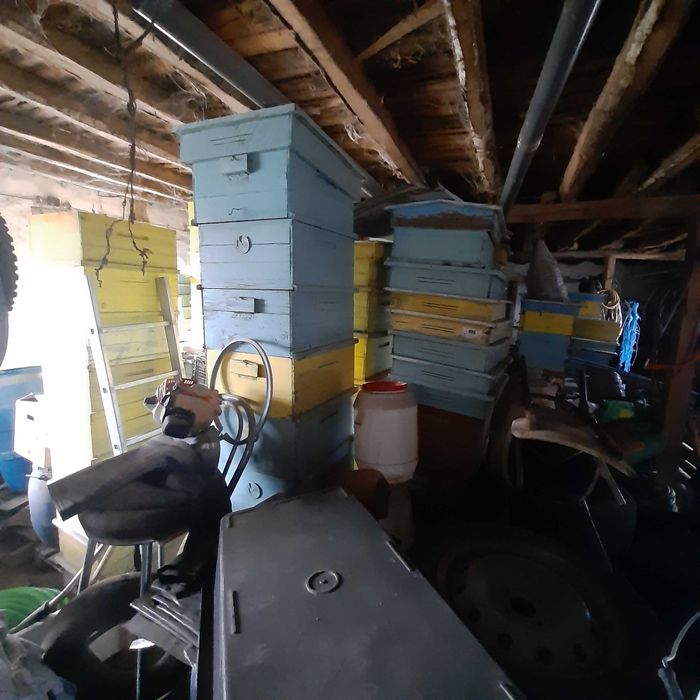 Многокорпусни пчелни кошери