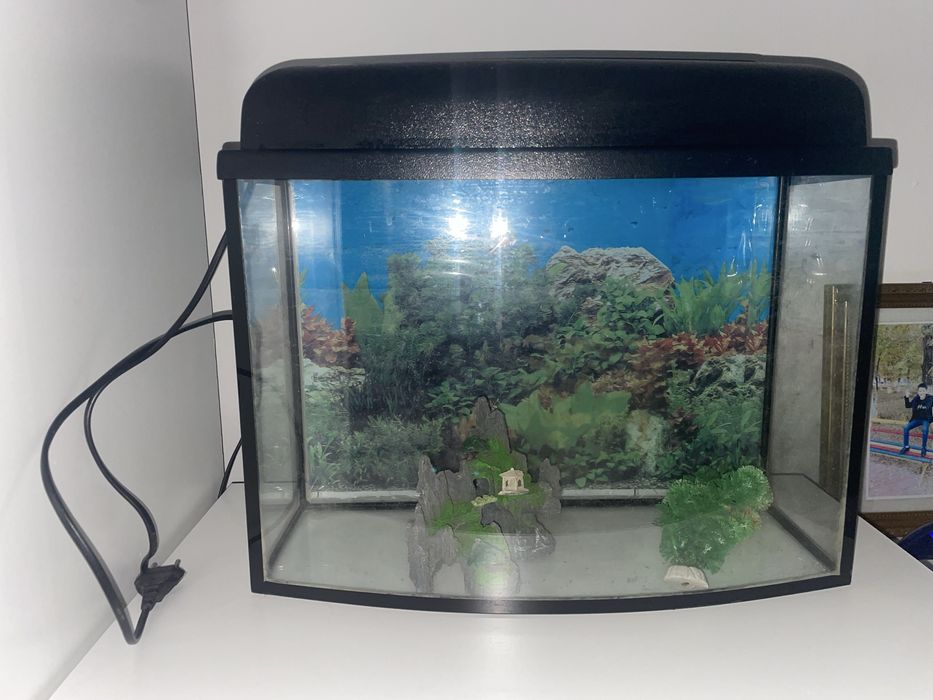 аквариум для рыб,20 литров