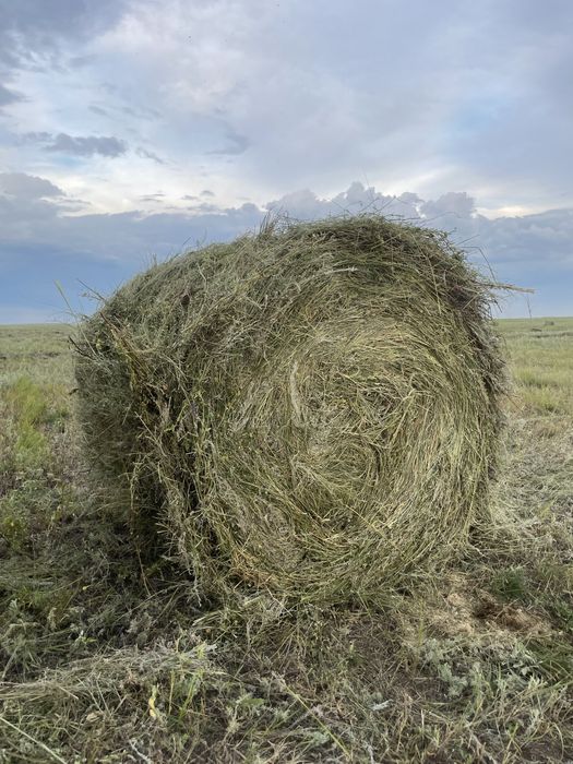 Шоп сено в рулонах