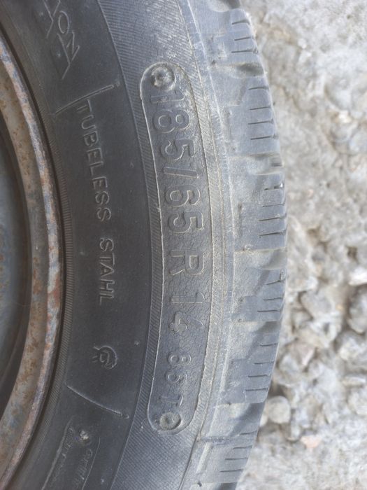 Кыстык донгелектер