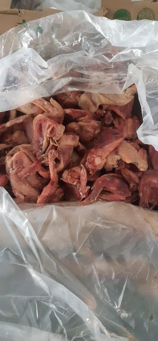 Для собак крылья куриные