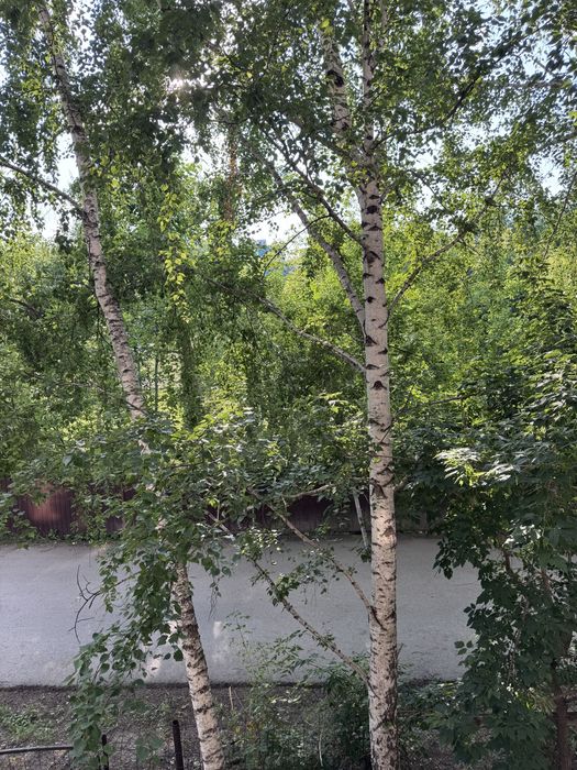 2 комн квартира КЖБИ