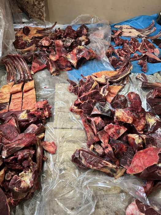 Жылқы еті сатылады