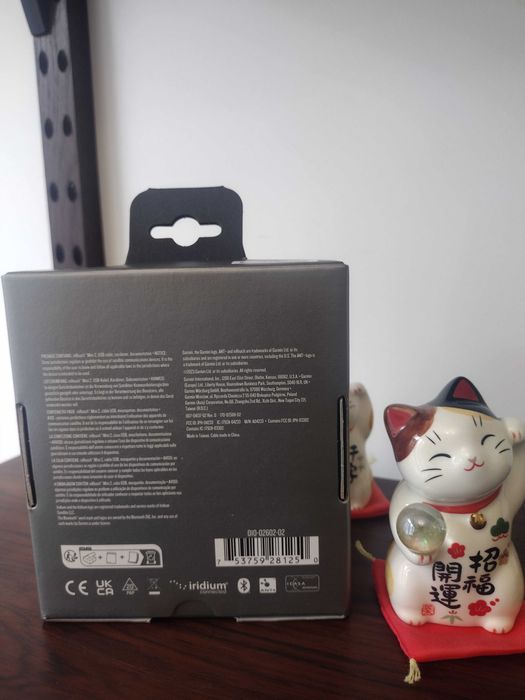 Garmin inReach Mini 2