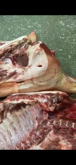 Мясо свинины продается