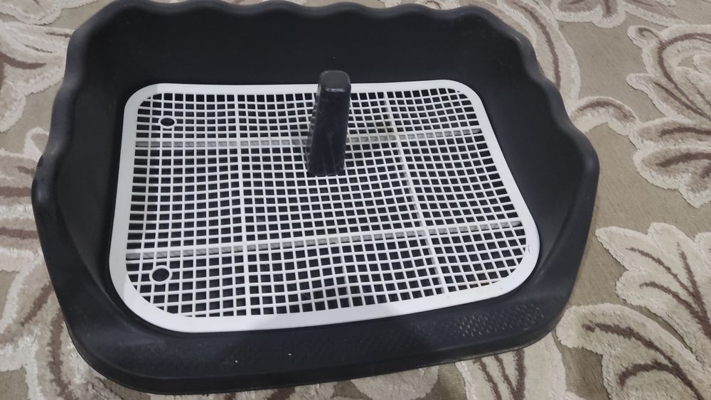 Лоток для собак новый