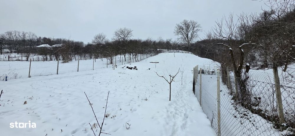 Proprietate deosebită în sat Chinari – Sântana de Mureș