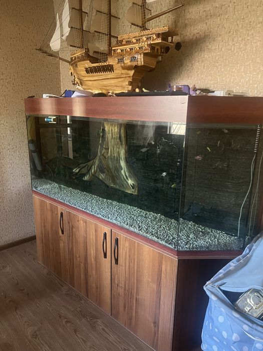 Аквариум и