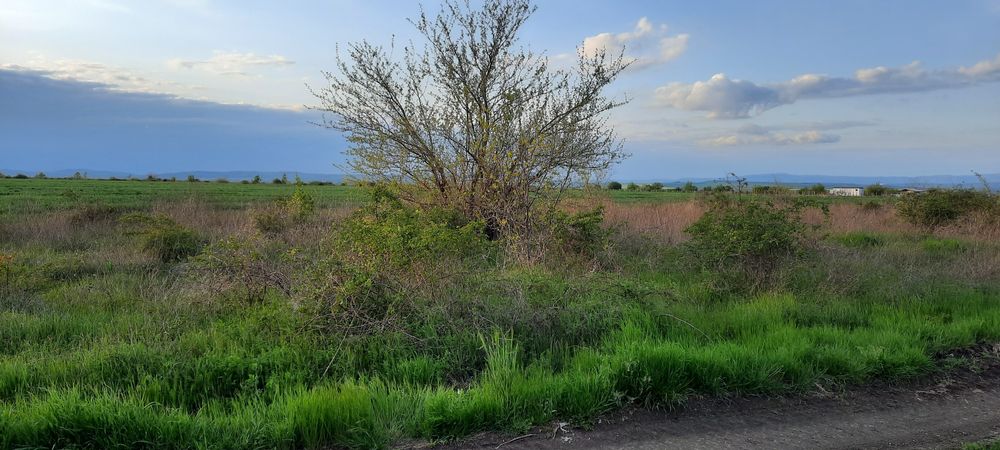 Парцел земеделска земя