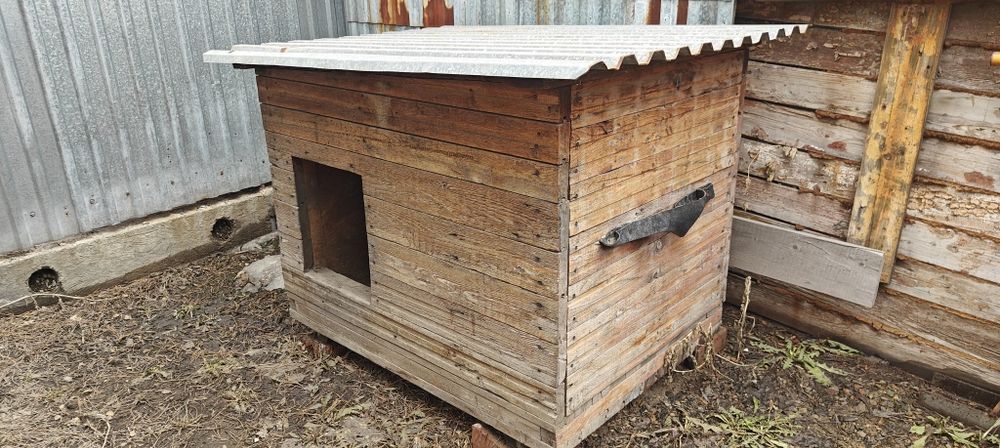 Будка для собаки