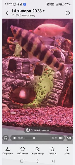 Валик сотилади жами 11 та