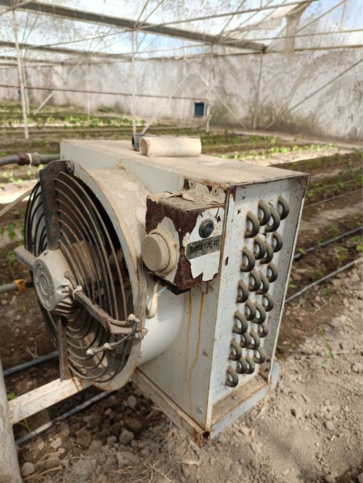 Радиатор теплица