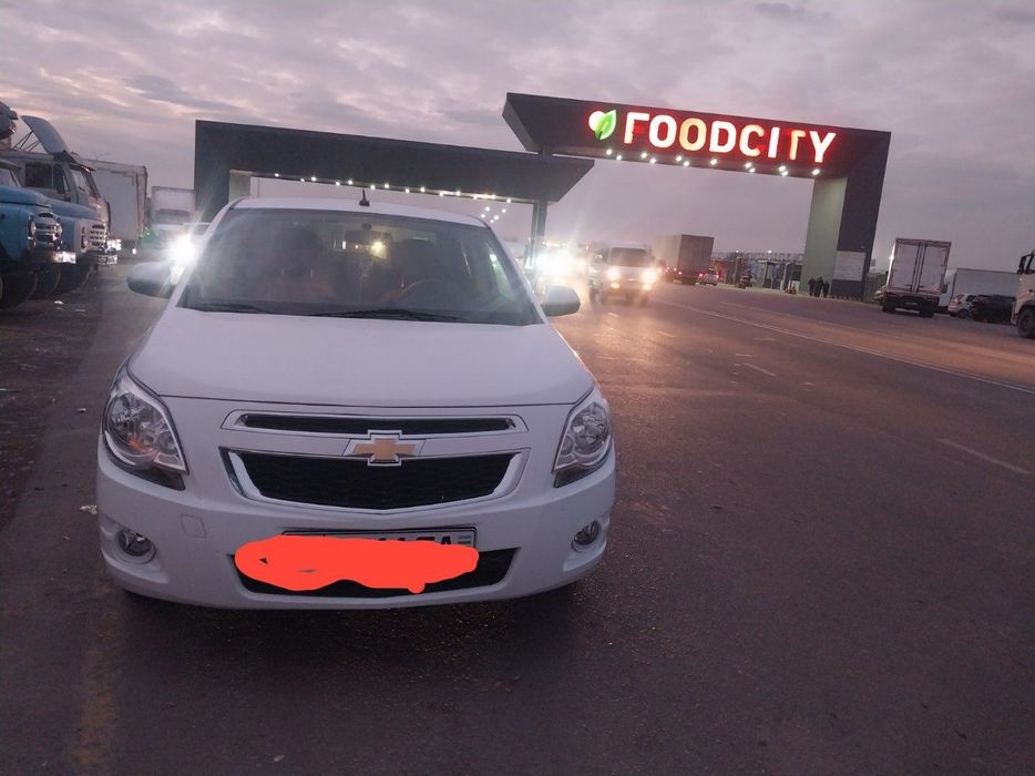 Холати идеально краска тозза