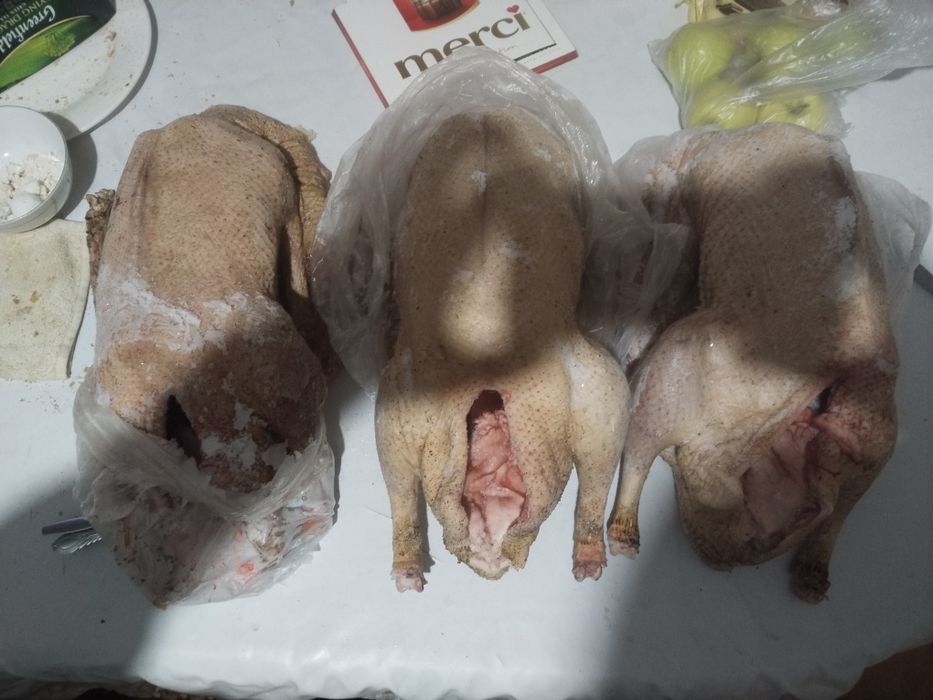 Продам гусеи тушки среднего веса