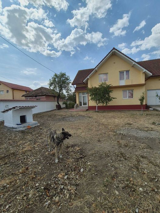 Vānd casā în Bals (Vârtina)