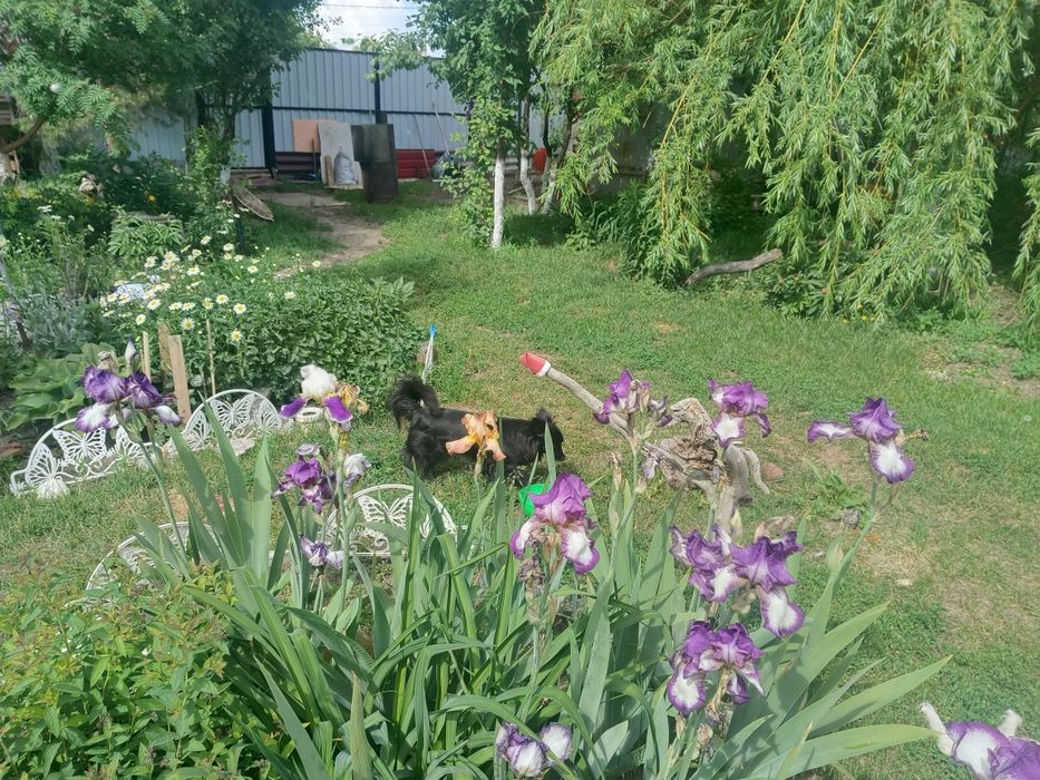 Продам зимнюю дачу в городе срочно
