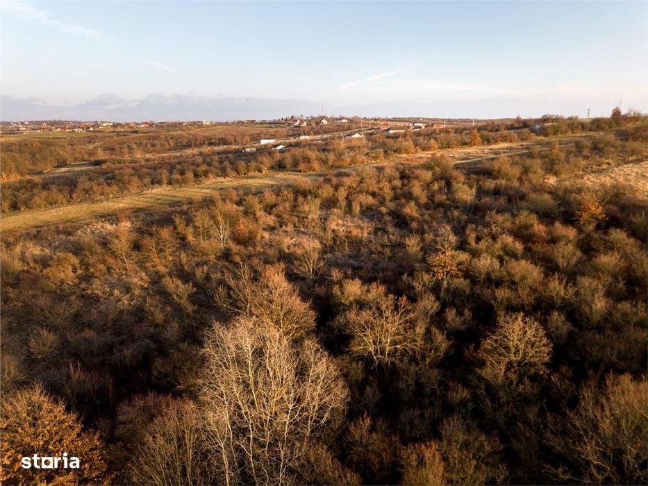 Reco Teren intravilan in Saldabagiu de munte 4333MP