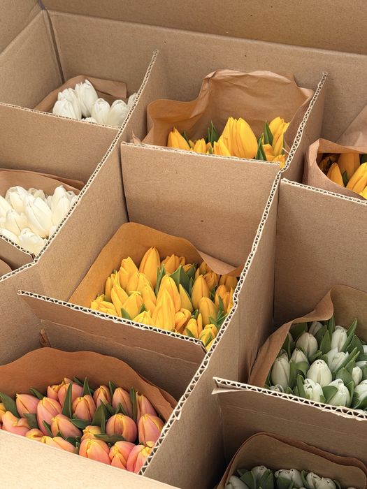 Премиум тюльпаны