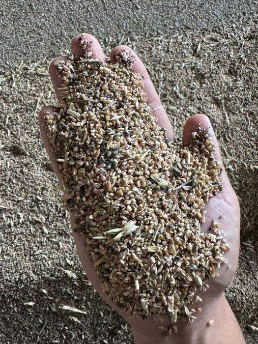 Продам сечку , зерноотходы