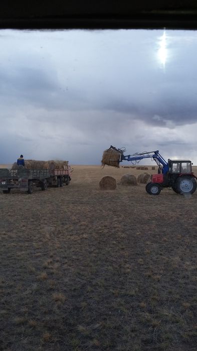 Продам сено рулонные разнотравье зеленка .