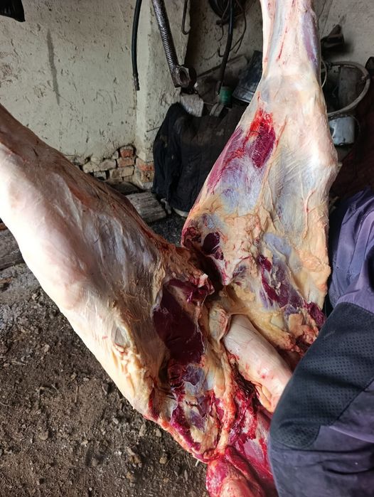 Жабагы сатылады.