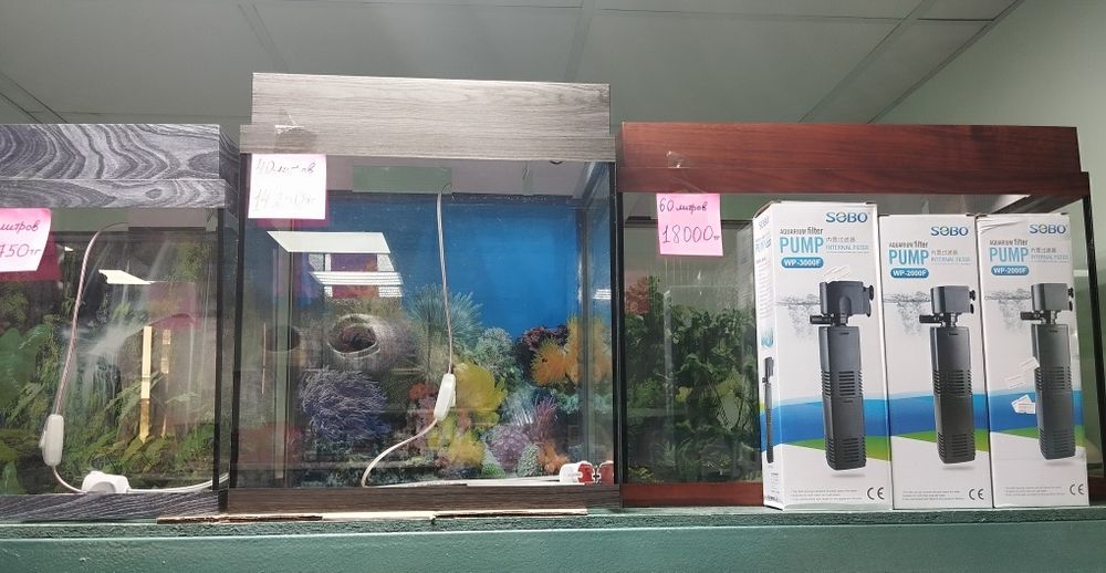 Аквариумы, фильтры, рыбки