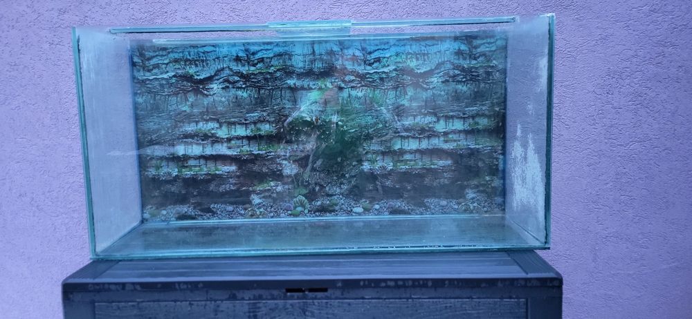 Acvariu pentru pești 250 L