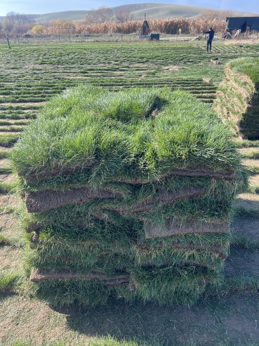 Рулонные газонн