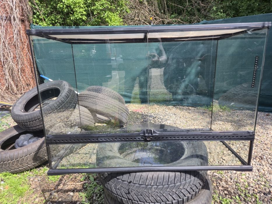 Terariu  animale companie, șerpi iguana tarantule
