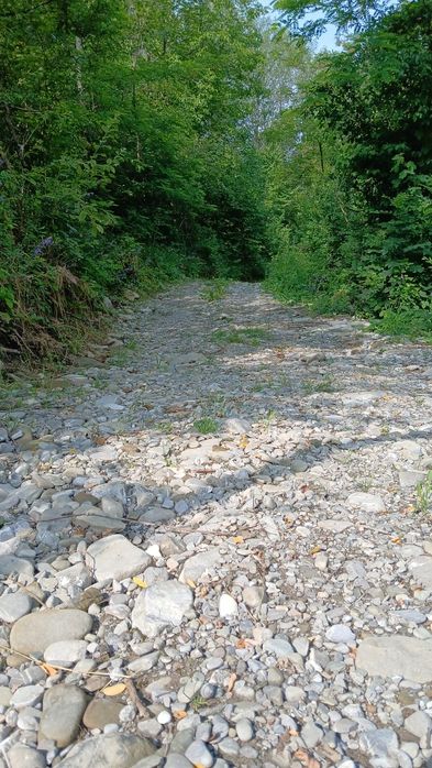 Teren de vânzare în Comuna Șotrile județul Prahova - Vedere 2