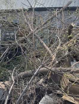 Продам Дрова, самовывоз