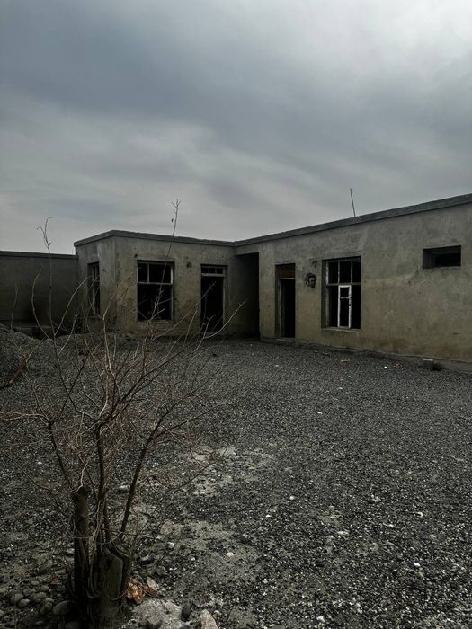 Seh sotiladi 24 sotih barter ham qilinoradi