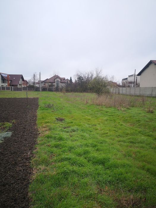 Teren de vânzare – Cornetu, Ilfov – Strada Bradului