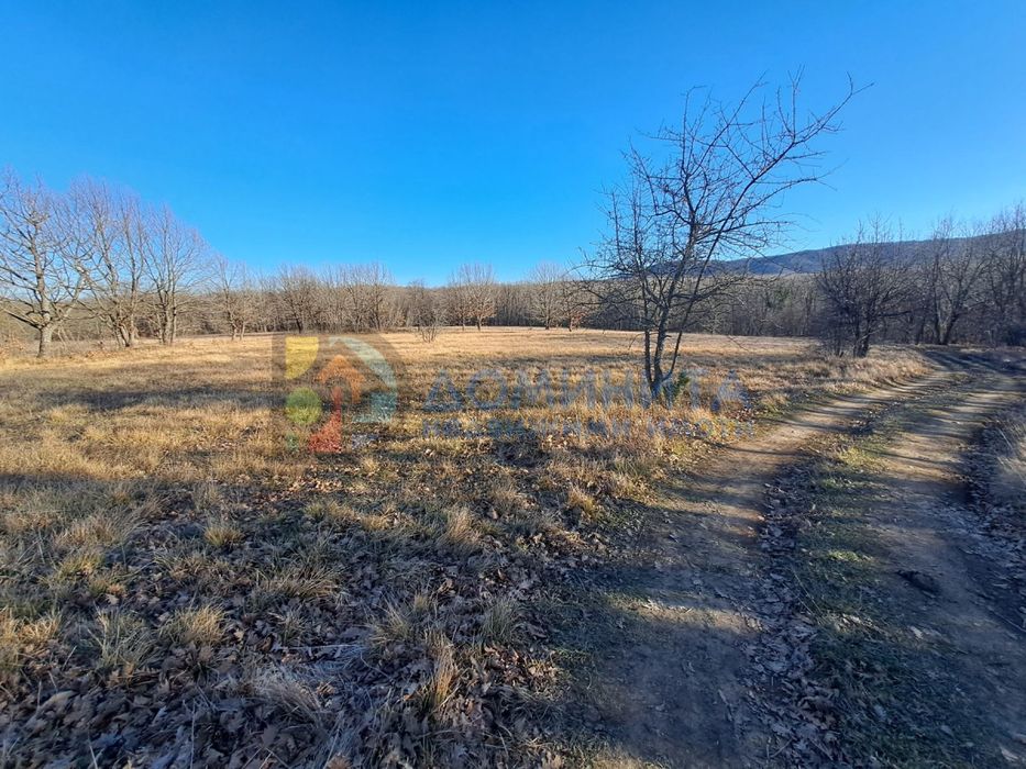 Продава се Земеделски имот в с. Велика, Област Бургас -  кв.м за 4875 €/дка - Снимка #10