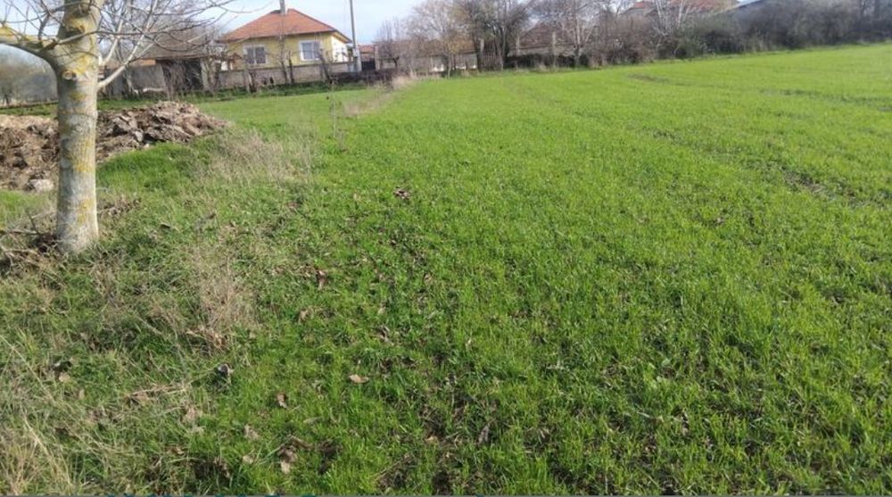 Добре разположен регулиран парцел (2000 кв.м.) на 30 км от гр. Шумен – отлична възможност за тези, които търсят място, където да построят своя нов дом