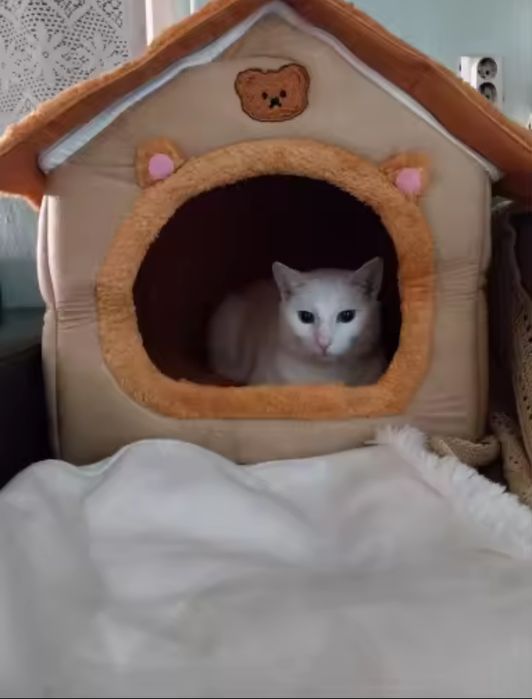 Căsuța animăluțe