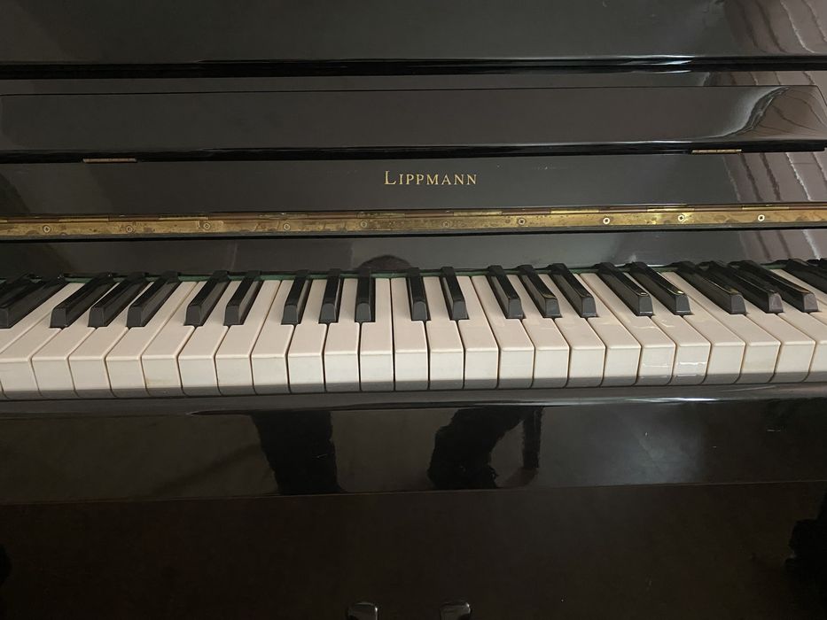 Vand / Schimb - Pian marca LIPPMANN