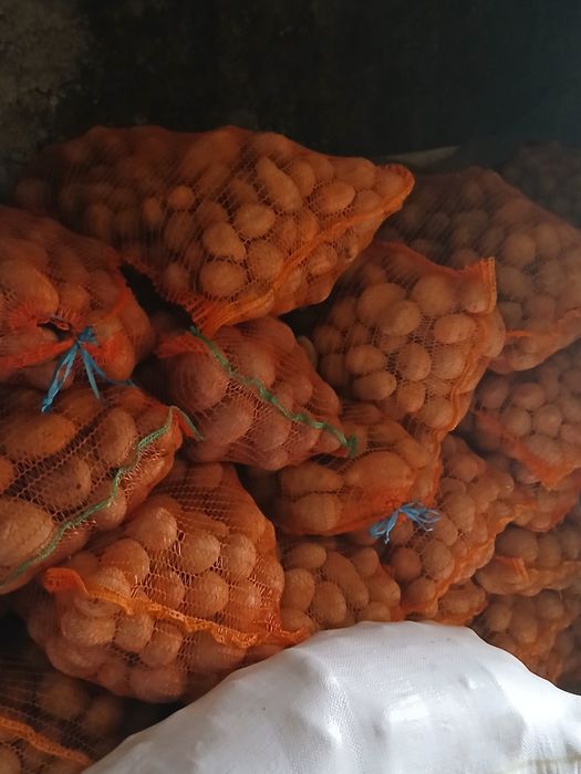 Vând cartofi de consum albi și rosi