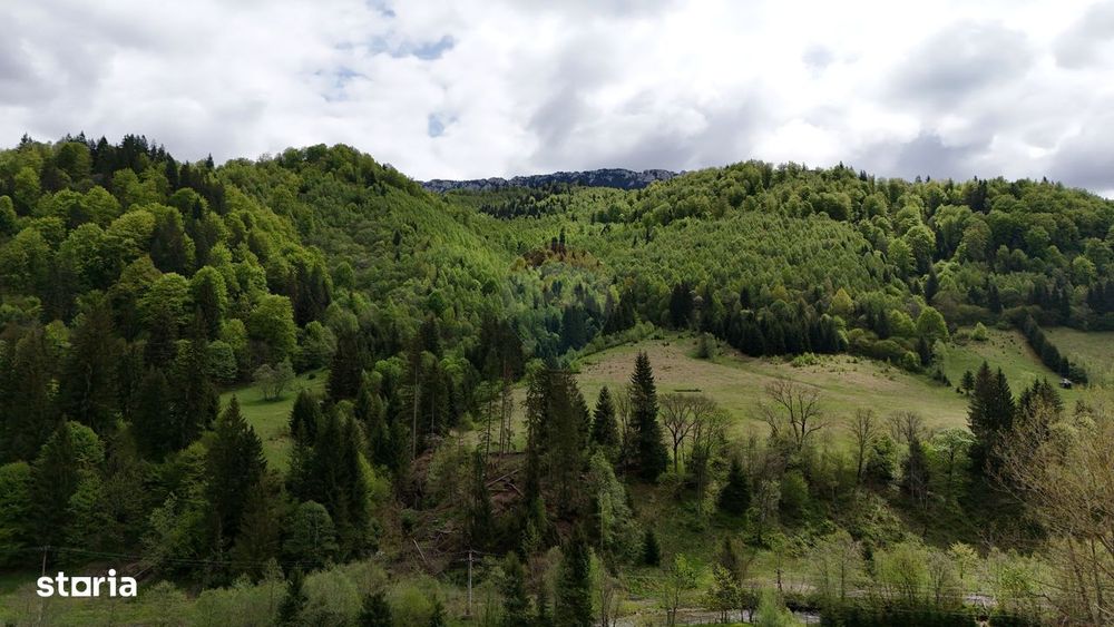 Extravilan + Intravilan | Sătic-Rucăr | Cadru natural | Turistic
