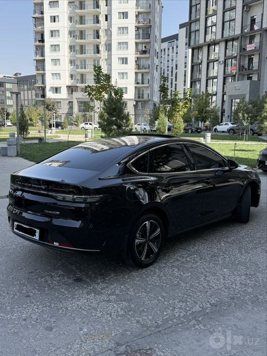 2025 4 poz chazor bitta detalda bor