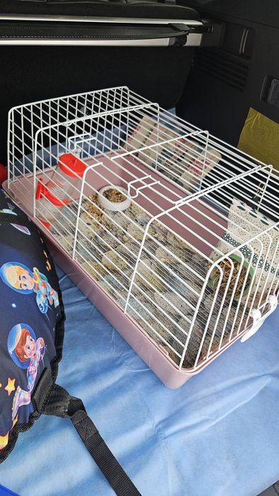 Продам клетка для морской свинки