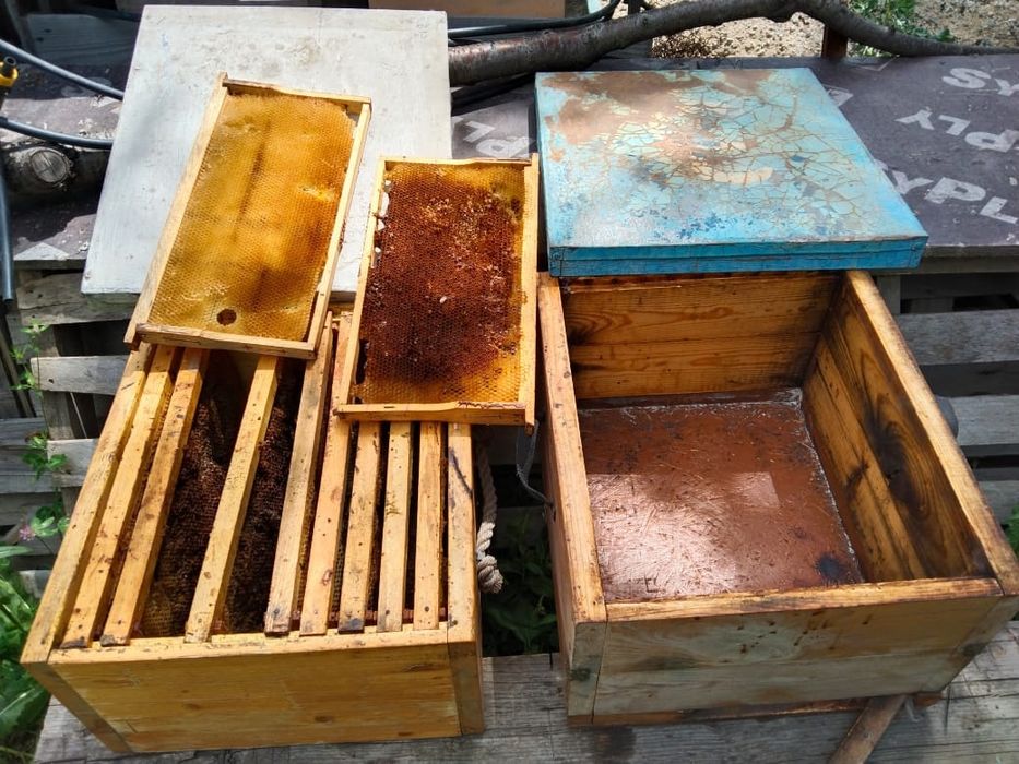 Корпуса для ульев Рута