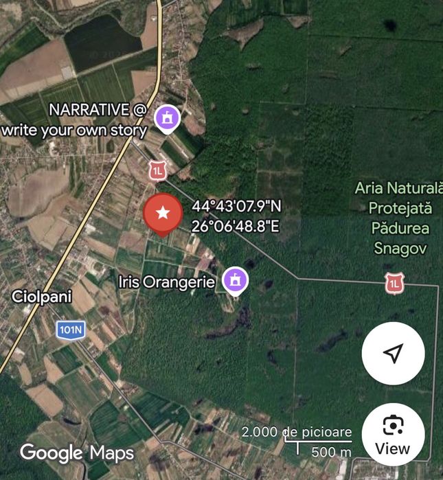Lot teren intravilan Ciolpani - padurea Snagov