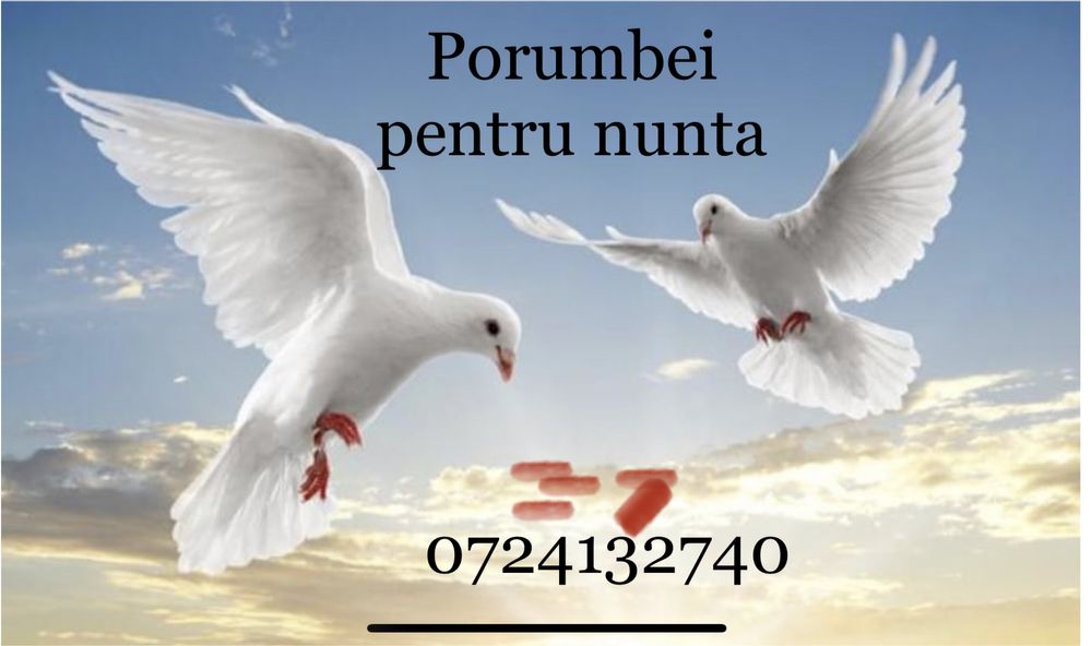 Porumbei pentru nunta