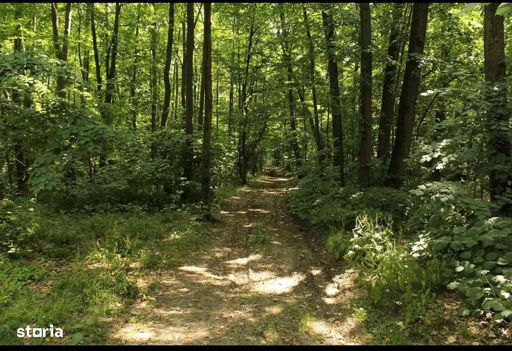 Teren intravilan de vânzare, 380.000 mp, pădure