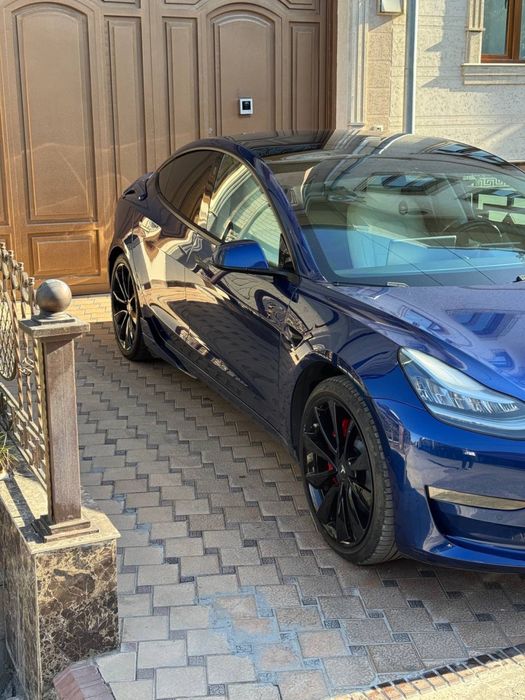 Tesla Model 3 Performance | 2020