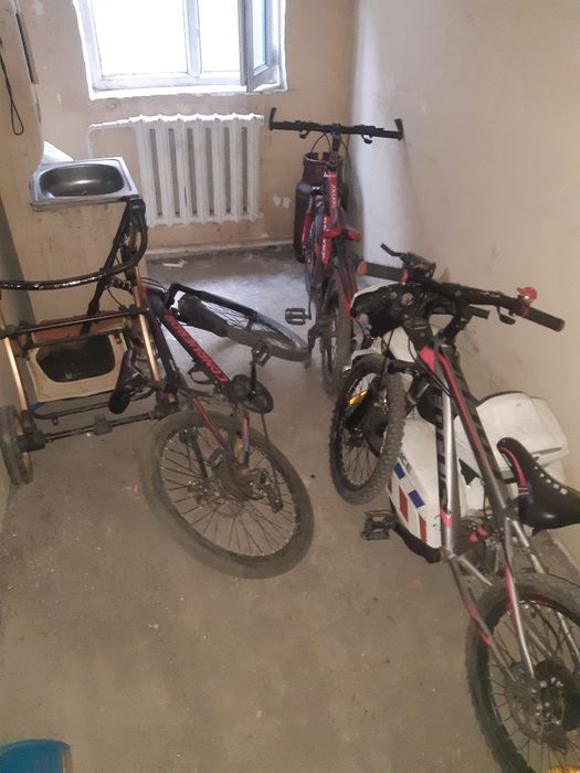 Велосипед спортивни үлкен кішкентай